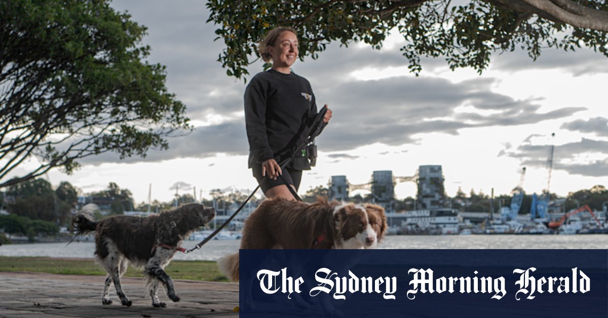This could get ruff: Dog walkers face $550 fee in council crackdown - Vimarsana News