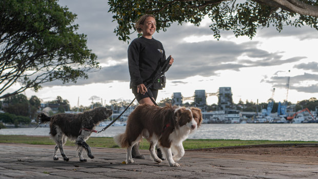 Council scraps plans to charge dog walkers for using parks