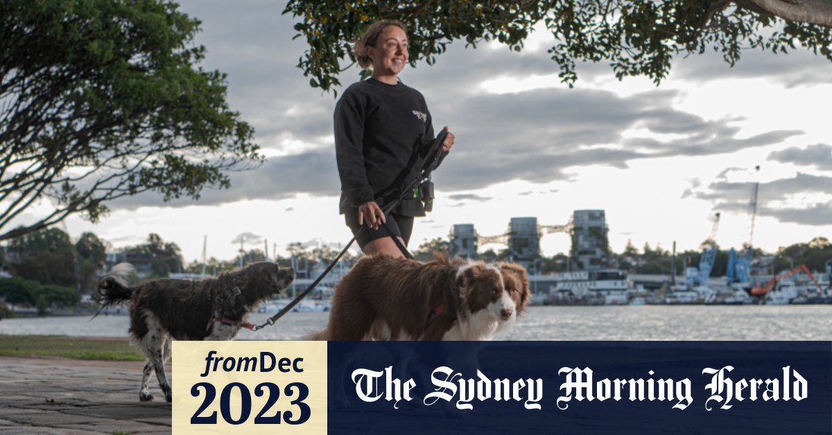 Inner West Council scraps plans to charge dog walkers for using parks