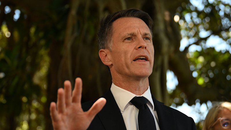 Minns must release report on hate speech laws