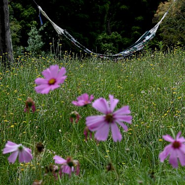 Hammock hanging between two trees in 