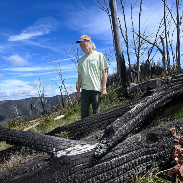 Cam Walker, from Friends of the Earth, stands in an area of bushland that was burnt two years ago.
