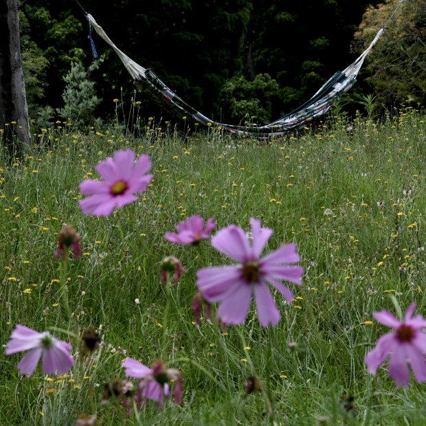 A hammock hangs between two trees in the popularly named “meadow” at Broughton Hall.
