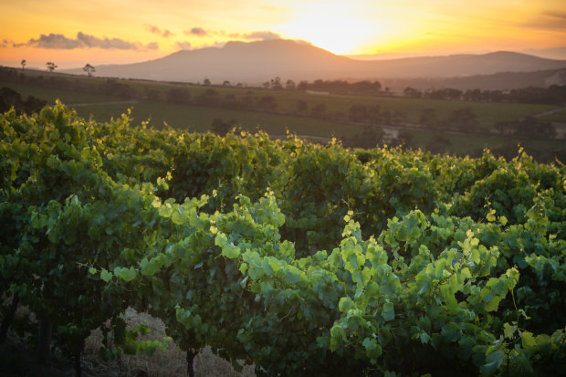 Howard Park Wines in Margaret River.
