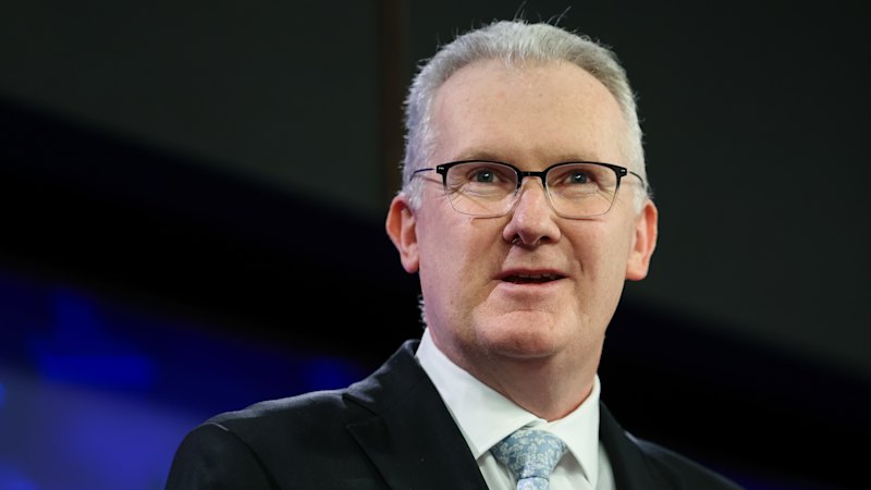‘We are talking billions’: Burke demands costings on Coalition deportation plan