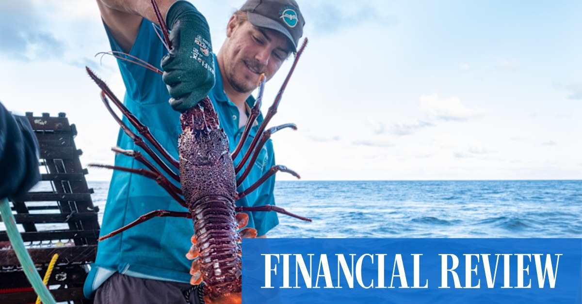 How to visit the Abrolhos islands, where lobsters reign supreme - Vimarsana News