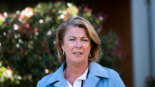 NSW Water Minister Melinda Pavey has been pushing for changes to the rules on flood plain harvesting.