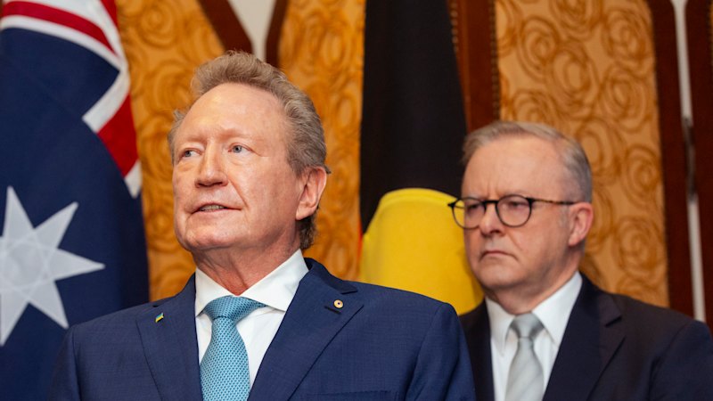 Revealed: what billionaire Andrew Forrest wrote to