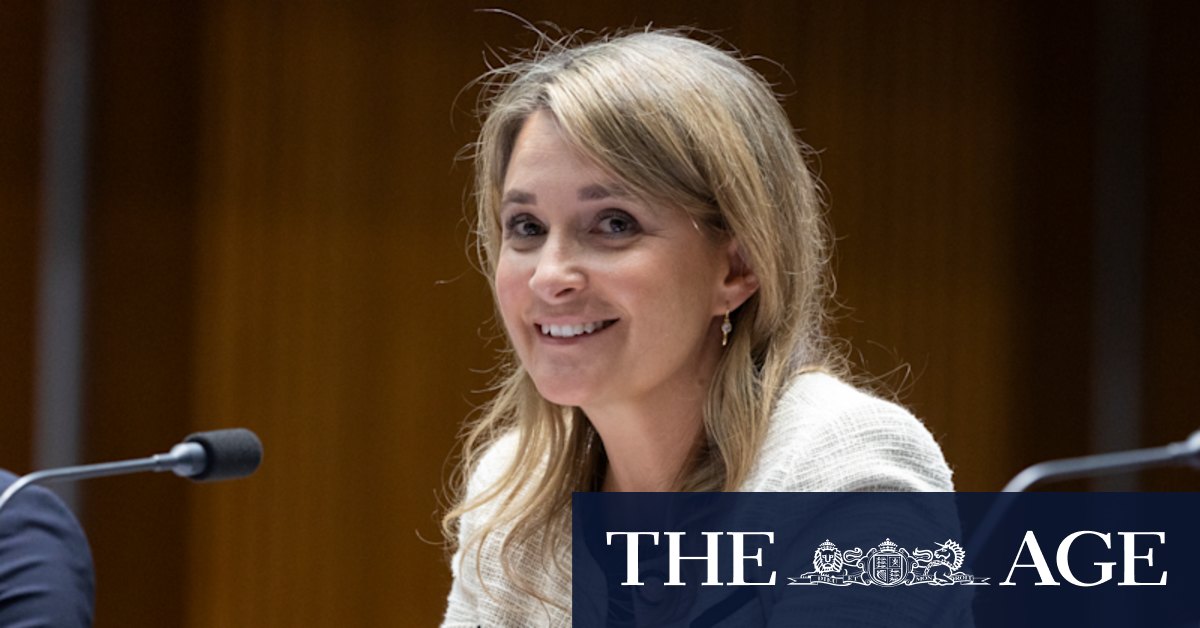 Ex-Optus boss acquainted with calamity is back – but not talking to us