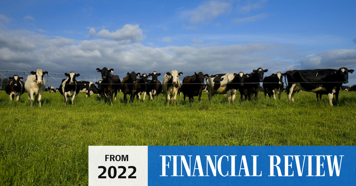 Climate change: Startup Rumin8 aims to limit livestock methane emissions