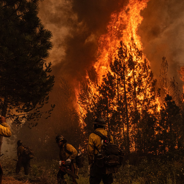 The American River Hotshot crew retreat as flames jump their containment line.