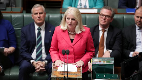 Industry Minister Karen Andrews is the first federal cabinet minister from Queensland. 