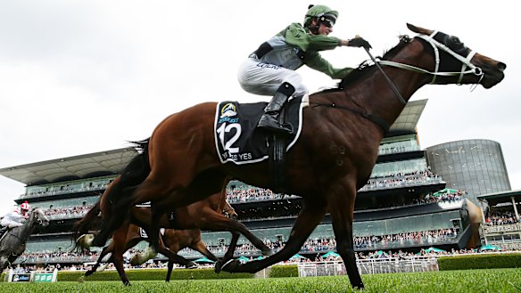 Yes Yes Yes storms clear for Glen Boss in The Everest.