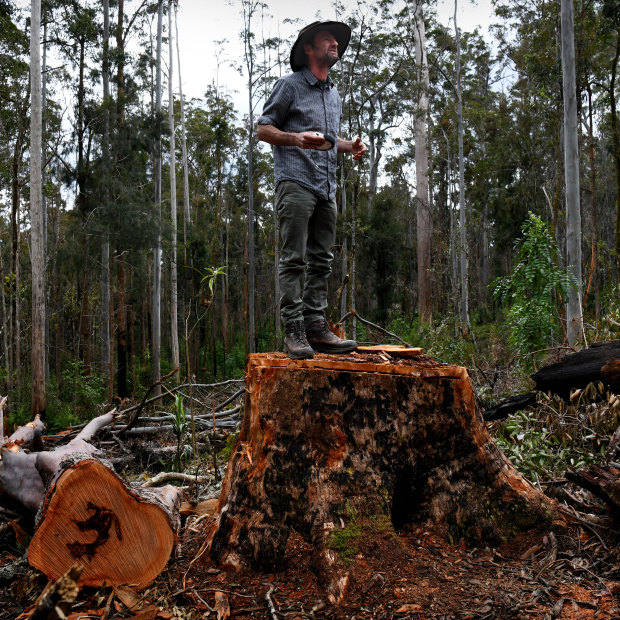 Mark Graham atop a felled tree in the Ellis State Forest.