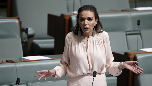 Labor MP Anne Aly.