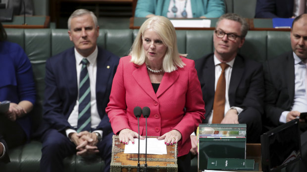 Industry Minister Karen Andrews is the first federal cabinet minister from Queensland. 