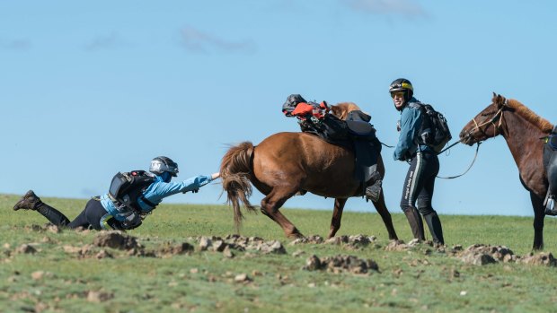 Rider in the derby takes a tumble after trying to hold her horse.