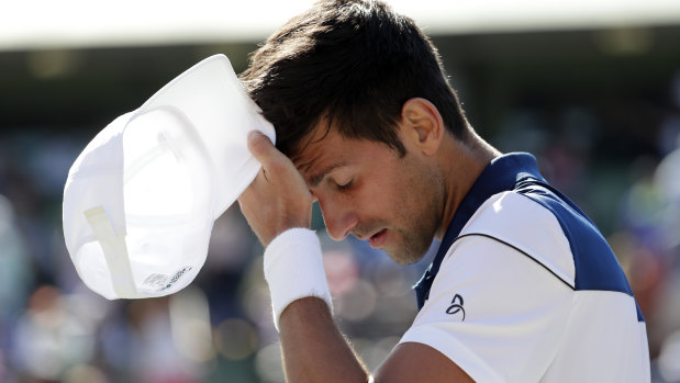 Frustration: Novak Djokovic has been away from the game with an elbow injury.