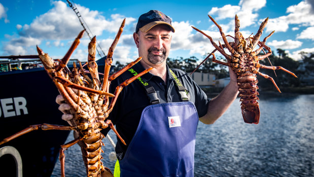 Brendan "Squizzy" Taylor has been catching lobster for 27 years and says the job has its ups and downs.