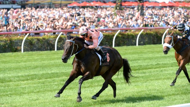 Black Caviar, winning the Lightning Stakes in 2013 in track record time, the last time she raced at Flemington.