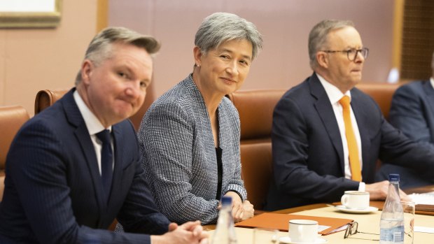 Penny Wong said the 2018 decision was a cynical attempt by Scott Morrison to win votes in the Wentworth byelection.