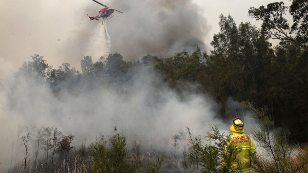 NSW Labor have called for an examination into the state's firefighting resources.