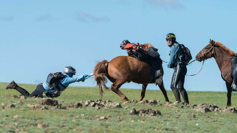 mongolian horse race