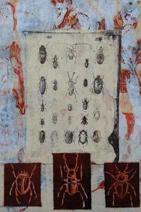 Jo Hollier, <i>Beetlemania</i>, collograph mixed media,(detail) in <i>Collection and Obsession</i>. Form Studio and Gallery.