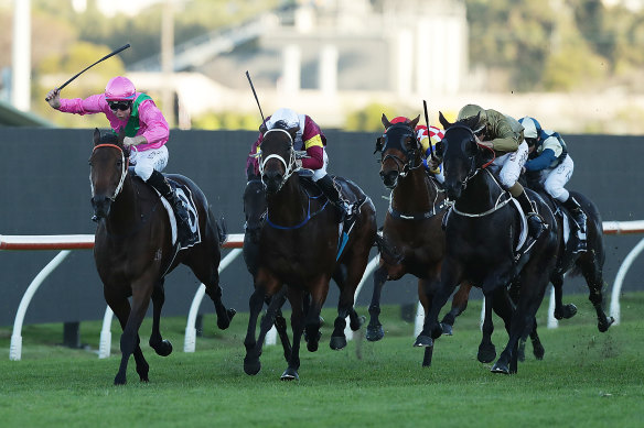 Tommy Berry and Amangiri (left) hit the front in Saturday's Hawkesbury Gold Cup at Rosehill.