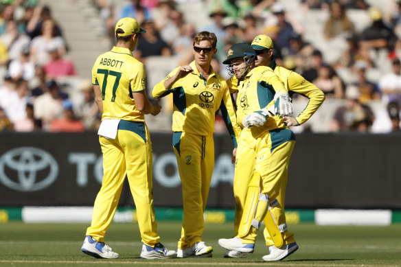 Adam Zampa and Australia celebrate a wicket earlier today.