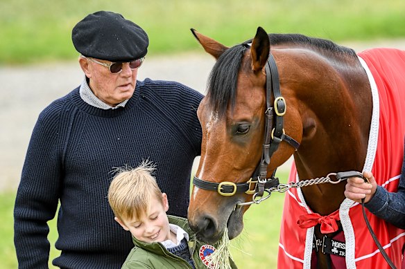 Lloyd Williams' King Of Leogrance has been scratched from Tuesday's Melbourne Cup.