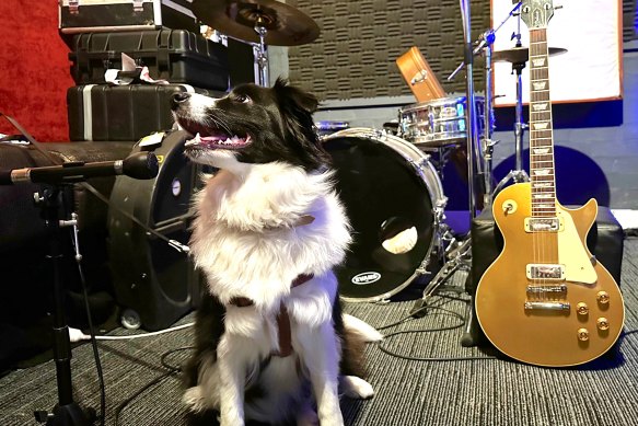 Sub-woofer: Miguel Laborde’s son Joshua’s music-loving border collie Mila.