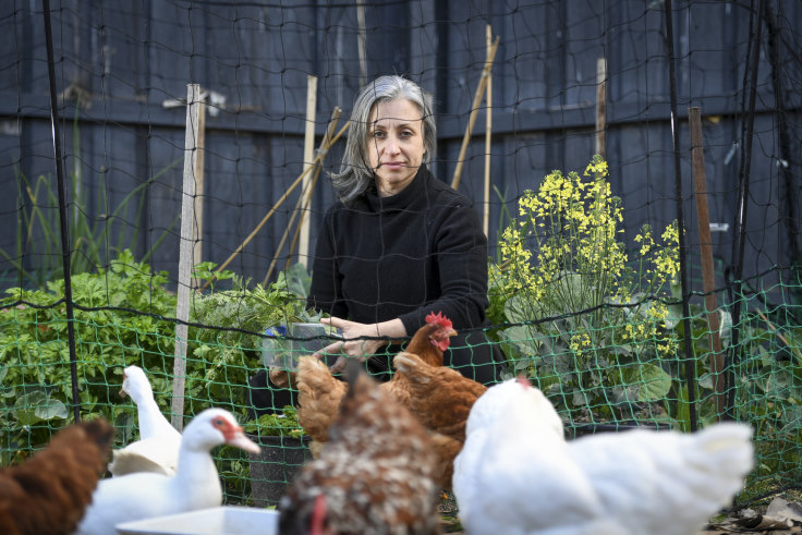 Lockdown Gardeners See Months Of Hard Work Bear Fruit And Veg