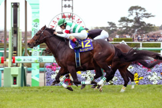 Saturnalia wins the Satsuki Sho (Japanese 2000 Guineas) with Christophe Lemaire aboard. Damian Lane will ride the unbeaten colt in next weekend's group 1 Tokyo Yushun (derby)