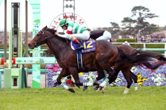 Saturnalia wins the Satsuki Sho (Japanese 2000 Guineas) with Christophe Lemaire aboard. Damian Lane will ride the unbeaten colt in next weekend's group 1 Tokyo Yushun (derby)