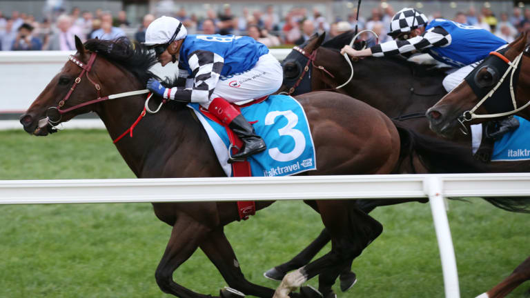 Contender: Craig Williams aboard Brave Smash, winning the Futurity Stakes earlier this year.