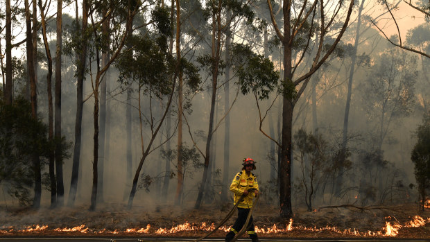 The summer's bushfires have torched about 12 million hectares across the country.
