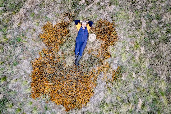 Long-time Iramoo grasslands volunteer Rick Van Keulen.