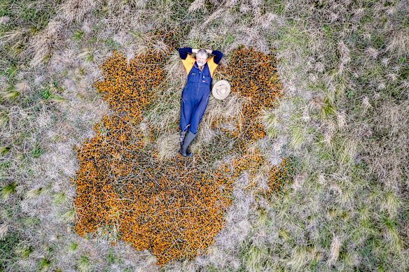 Long-time Iramoo grasslands volunteer Rick Van Keulen.