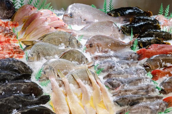 A selection of whole fish at Astakos Fish Market in Sydney. 