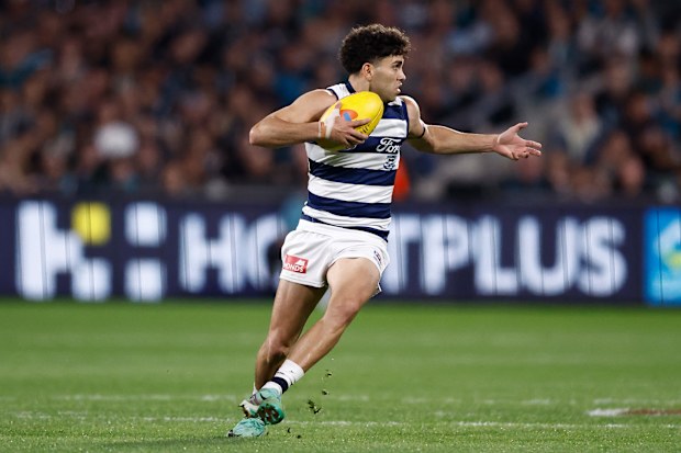 Tyson Stengle in action for the Cats.