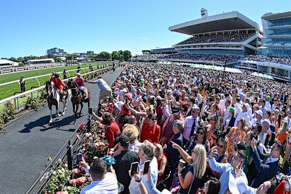 A race goer high-fives Robbie Dolan after Knight’s Choice won the Melbourne Cup.