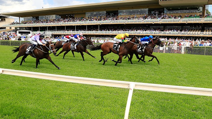 smh.com.au - Neil Evans - Race tips and previews for Warwick Farm on Wednesday