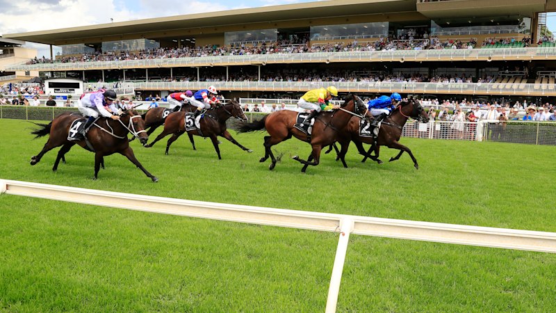 4c35bc64bb42e9e3d675790ae805f6b730719ff6