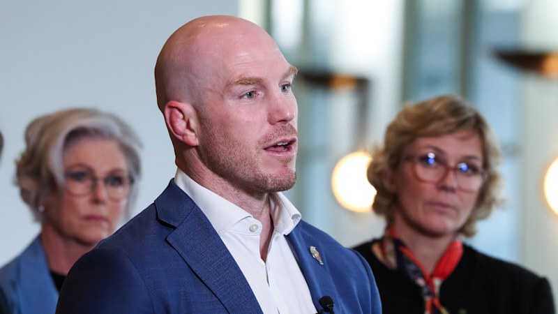 ‘Wasn't clear': Pocock seeks clarity on abolition of ‘widow's tax'