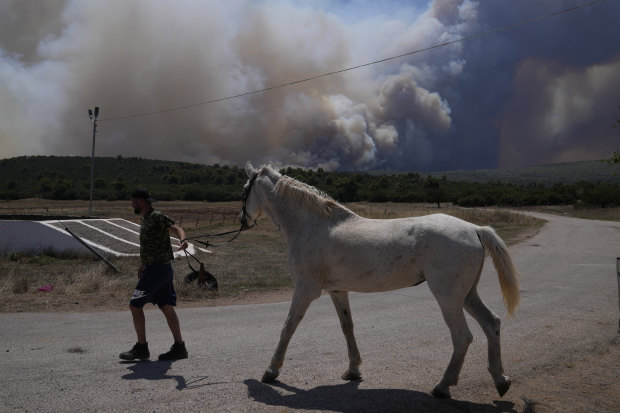 A man evacuates his horse from the bushfires near Athens.