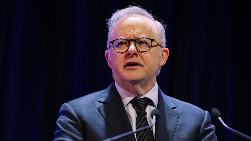 Prime Minister Anthony Albanese hits back at budget critics and labels opposition an “axis of grievance” at NSW Labor conference