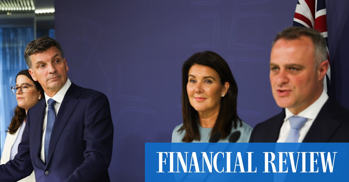 Shadow treasurer Tim Wilson says the economic rebuild must be driven by unconventional thinking and robust growth in small business and the self-employed.