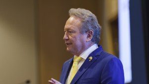Andrew Forrest, founder and executive chairman of Fortescue Metals Group.