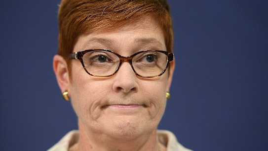 Foreign Minister Marise Payne addresses media in Sydney, Thursday, January 24, 2019. (AAP Image/Dan Himbrechts) NO ARCHIVING